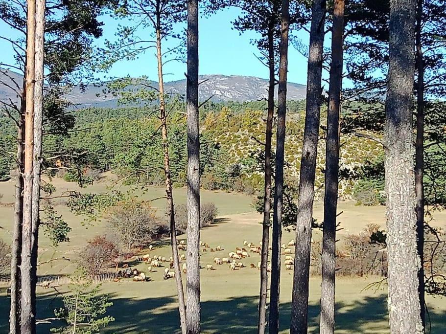 Montagne, Mer Et Verdon Séranon Exterior foto
