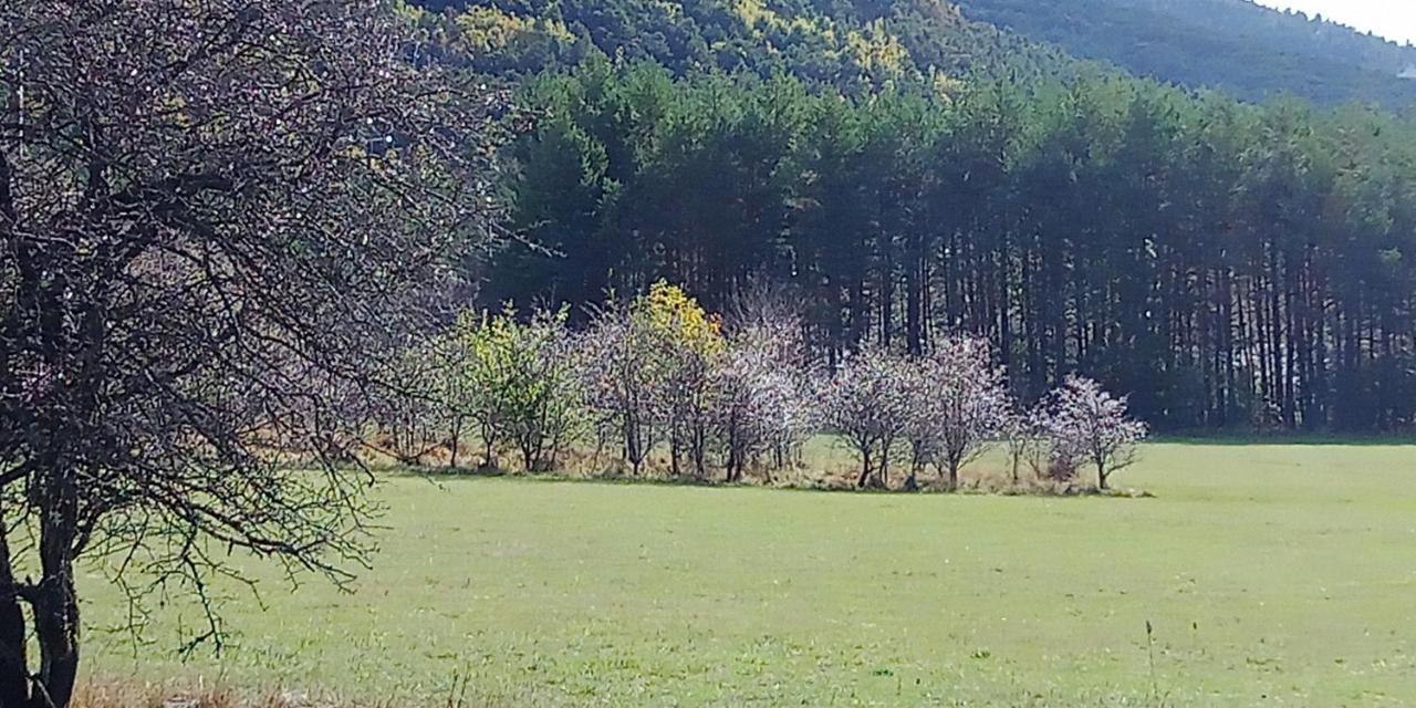Montagne, Mer Et Verdon Séranon Exterior foto